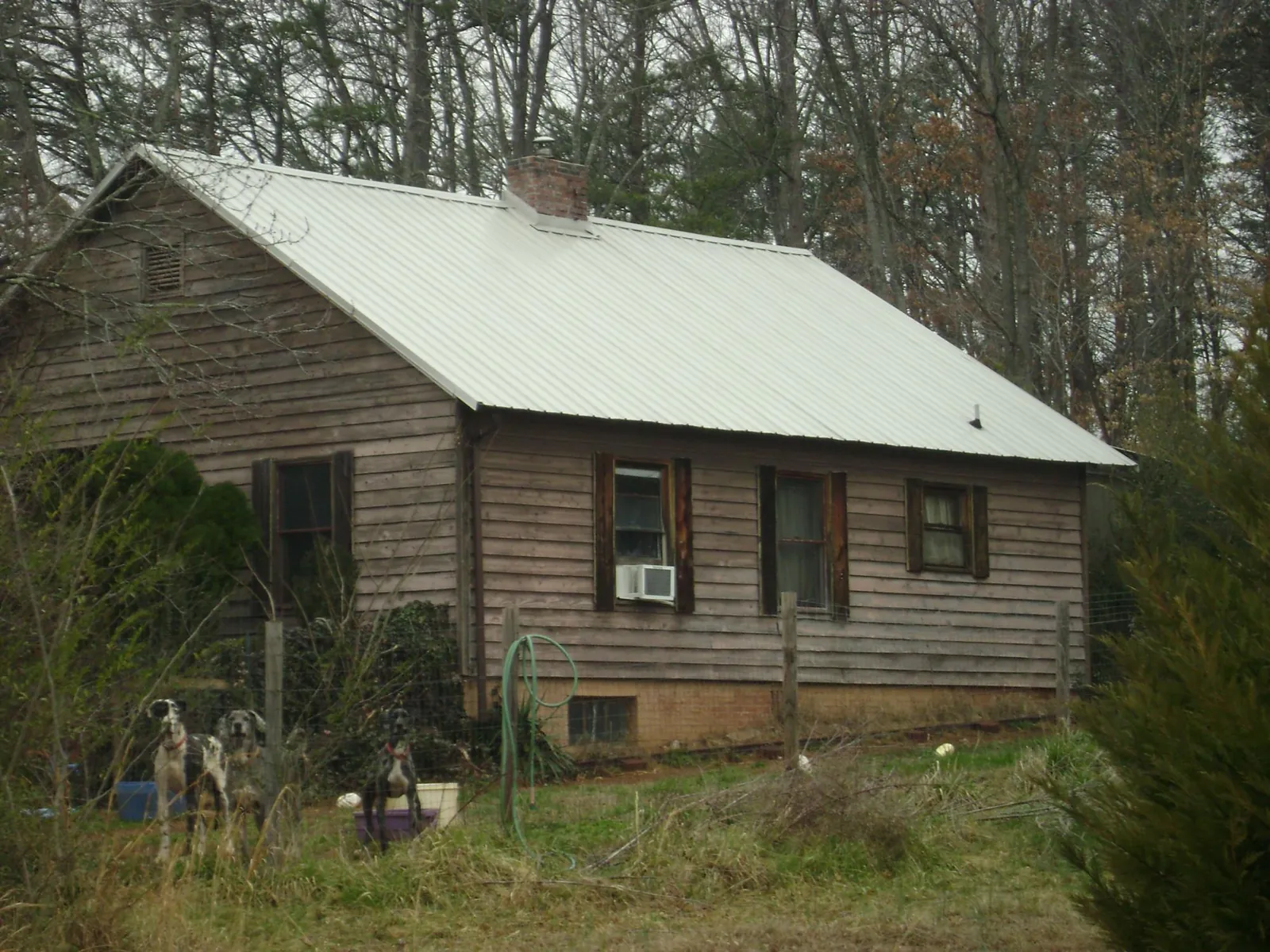 White metal roof on an old wood sided farmhouse, from a Asphalt Shingle Roof Repair job in Starr